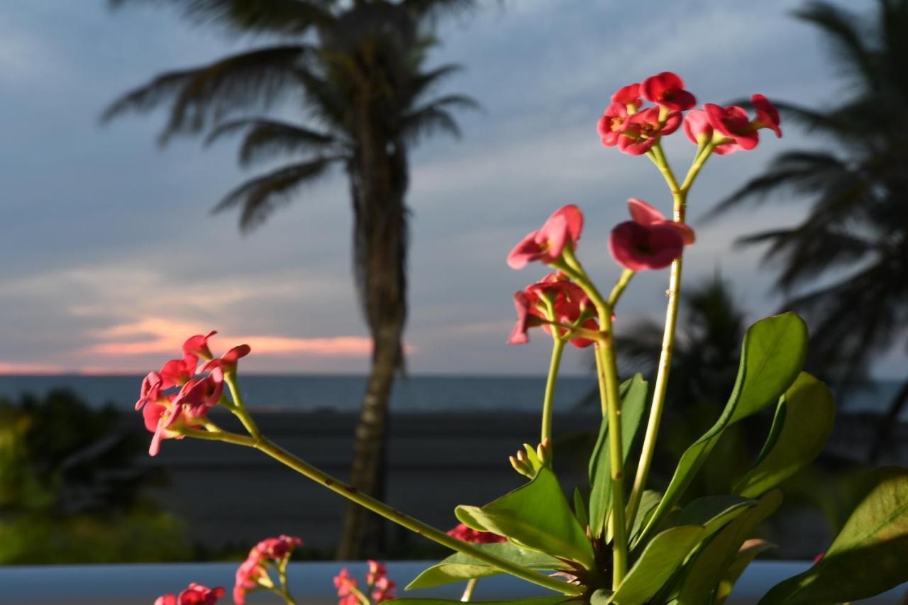 Hermoso Apartamento Con Todas Las Comodidades Acceso Directo A La Playa Morros Epic Sector La Boquilla Cumple Protocolos De Bioseguridad Cartagena 外观 照片